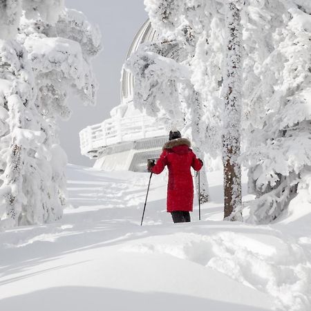 Chalets Du Domaine - De Luxe Notre-Dame-Des-Bois Exteriör bild