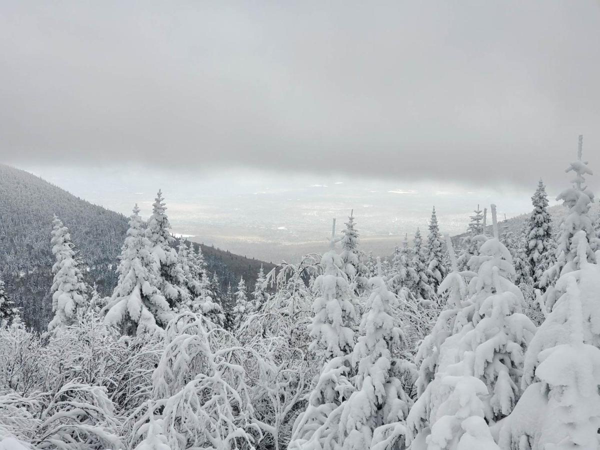 Chalets Du Domaine - De Luxe Notre-Dame-Des-Bois Exteriör bild